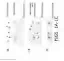 Fig. 02 - Mucins as Antiviral Compounds