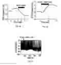 Fig. 08 - MODIFICATION OF FEEDING BEHAVIOR