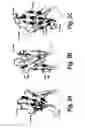 Fig. 04 - Fibronectin binding domains with reduced immunogenicity