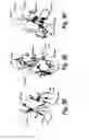 Fig. 05 - Fibronectin binding domains with reduced immunogenicity