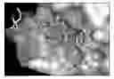 Fig. 01 - Peptidomimetic macrocycles