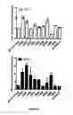 Fig. 09 - CTLA4 proteins and their uses