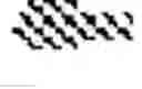 Fig. 04 - Lactococcus lactis strains