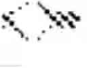 Fig. 07 - Lactococcus lactis strains