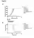 Fig. 07 - Combination therapy for treating cancer