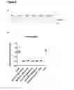 Fig. 09 - Combination therapy for treating cancer