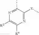 Fig. 106 - Conformationally constrained, fully synthetic macrocyclic compounds