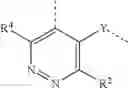 Fig. 110 - Conformationally constrained, fully synthetic macrocyclic compounds
