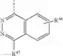 Fig. 183 - Conformationally constrained, fully synthetic macrocyclic compounds