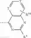 Fig. 241 - Conformationally constrained, fully synthetic macrocyclic compounds