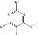 Fig. 31 - Conformationally constrained, fully synthetic macrocyclic compounds