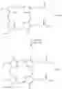 Fig. 04 - High-purity large-scale preparation of stannsoporfin