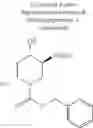 Fig. 830 - Chemical Compounds 251