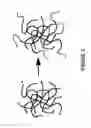 Fig. 03 - Water compatible nanogel compositions