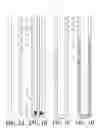 Fig. 02 - Resin sealant for zonal isolation and methods for making and using same