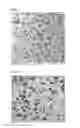 Fig. 02 - Transparent ABS resin composition having superior shock resistance, scratch resistance, and transparency