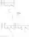 Fig. 20 - MULTI-FUNCTIONAL GRAFTED POLYMERS