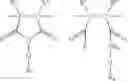 Fig. 63 - MULTI-FUNCTIONAL GRAFTED POLYMERS