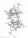 Fig. 06 - Bimetallic catalytic complexes for the polymerisation of carbon dioxide and an epoxide