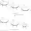 Fig. 09 - Carbohydrate-based drug delivery polymers and conjugates thereof