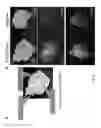 Fig. 10 - CELLULOSE-/CHITIN-TYPE POLYMERIC LIGHT-EMITTING MATERIAL