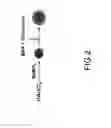 Fig. 03 - Method of bonding gold nanoparticles with diethylenetriamine pentaacetic acid