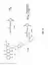 Fig. 07 - Anthracycline derivative conjugates, process for their preparation and their use as antitumor compounds