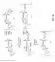 Fig. 08 - Anthracycline derivative conjugates, process for their preparation and their use as antitumor compounds