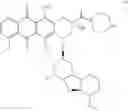 Fig. 111 - Anthracycline derivative conjugates, process for their preparation and their use as antitumor compounds