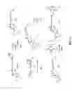 Fig. 14 - Anthracycline derivative conjugates, process for their preparation and their use as antitumor compounds