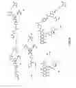 Fig. 15 - Anthracycline derivative conjugates, process for their preparation and their use as antitumor compounds