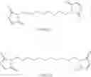 Fig. 33 - Anthracycline derivative conjugates, process for their preparation and their use as antitumor compounds