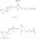 Fig. 86 - Anthracycline derivative conjugates, process for their preparation and their use as antitumor compounds