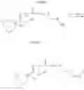 Fig. 89 - Anthracycline derivative conjugates, process for their preparation and their use as antitumor compounds
