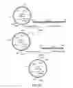 Fig. 09 - COMBINATORIAL DNA LIBRARY FOR PRODUCING MODIFIED N-GLYCANS IN LOWER EUKARYOTES