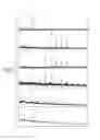 Fig. 19 - COMBINATORIAL DNA LIBRARY FOR PRODUCING MODIFIED N-GLYCANS IN LOWER EUKARYOTES