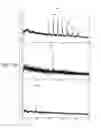 Fig. 42 - COMBINATORIAL DNA LIBRARY FOR PRODUCING MODIFIED N-GLYCANS IN LOWER EUKARYOTES