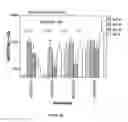 Fig. 08 - IMMUNOGEN PLATFORM