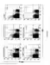 Fig. 19 - IMMUNOGEN PLATFORM