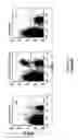 Fig. 20 - IMMUNOGEN PLATFORM