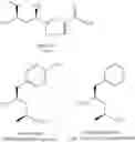 Fig. 07 - Processes for preparing tubulysin derivatives and conjugates thereof