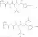 Fig. 20 - Processes for preparing tubulysin derivatives and conjugates thereof