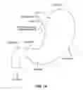 Fig. 02 - Satiation pouches and methods of use
