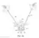 Fig. 06 - Apparatus and method for stylet-guided vertebral augmentation