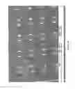 Fig. 35 - Process for making high multiplex arrays
