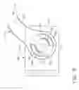 Fig. 06 - Conductor arrangements for electrically powered surgical instruments with rotatable end effectors