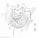 Fig. 29 - Conductor arrangements for electrically powered surgical instruments with rotatable end effectors