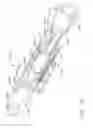 Fig. 45 - Conductor arrangements for electrically powered surgical instruments with rotatable end effectors