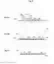 Fig. 06 - Systems, methods, and devices for assessing microbiota of skin
