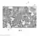 Fig. 02 - Methods, systems and circuits for generating magnification-dependent images suitable for whole slide images